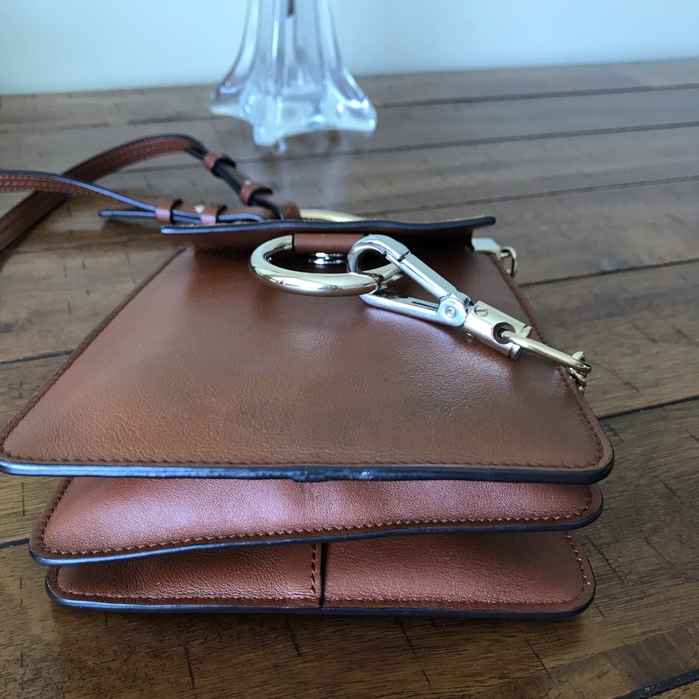 Chloe - Picture 4 of 8